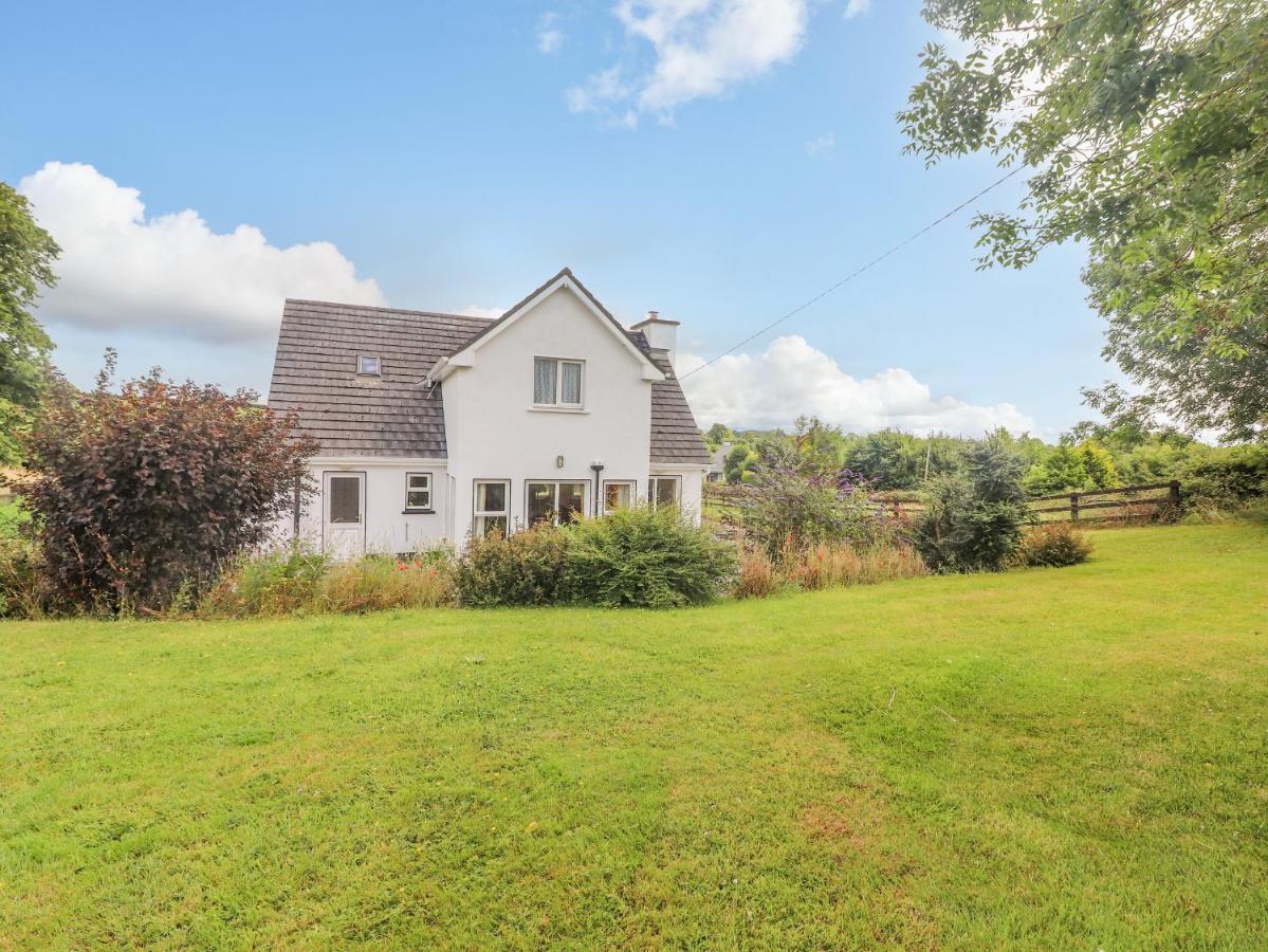 Meadow View Villa Nenagh Eksteriør billede
